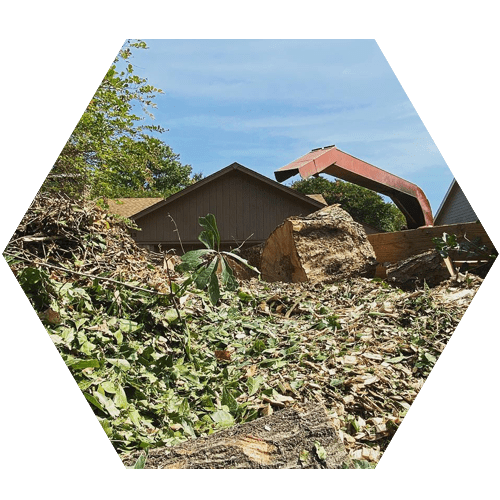 Earthwork Solutions Professional Clean up Services